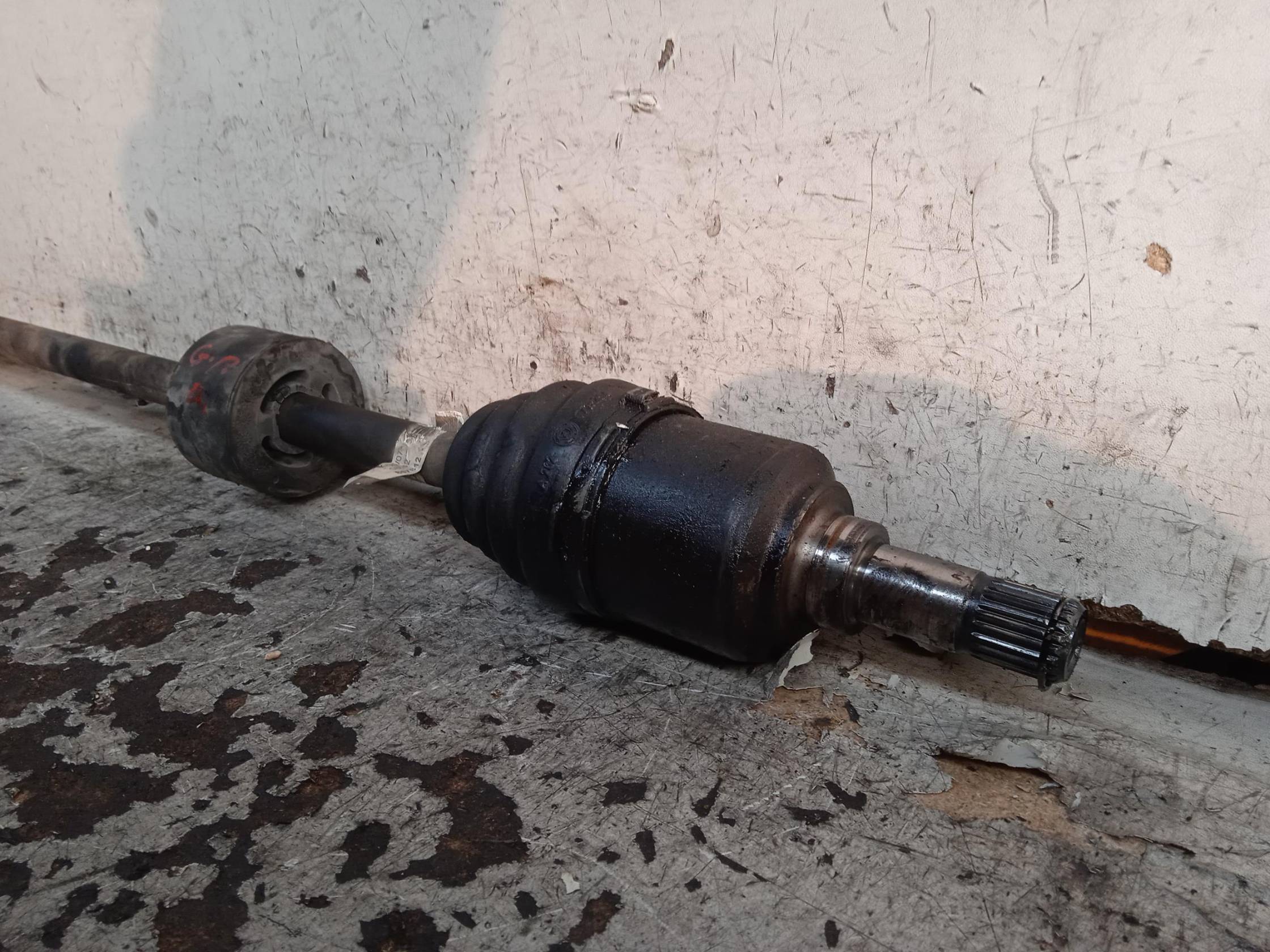 Semialbero ant. compl. dx.